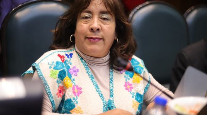 Legislatura pedirá informes sobre ingresos del Fideicomiso para la Promoción Turística: Rosario Elizalde