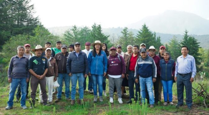 Arranca campaña de reforestación en Texcoco con la siembra de 30 mil árboles