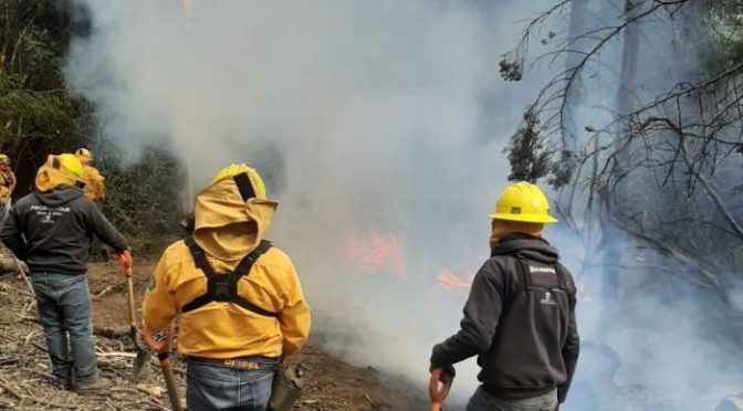 Reportan brigadas control del 100 por ciento incendios forestales en Texcoco y del 70 por ciento en Amecameca