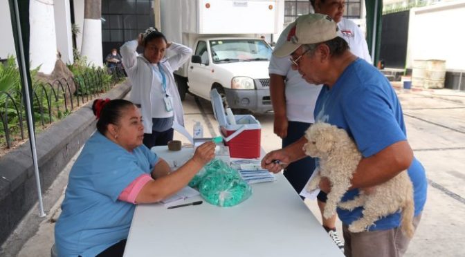 Texcoco participa en la Jornada Nacional de Vacunación Canina y Felina 2024