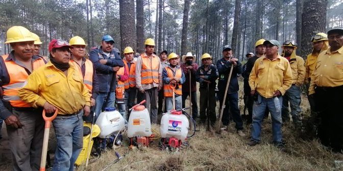 Las Brigadas de Probosque muestran compromiso inquebrantable para combatir los incendios forestales en el Edoméx